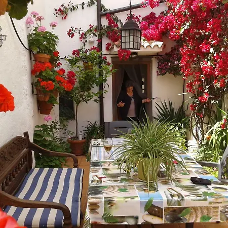 Casa de Férias Casa Tia Nico *